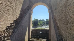 Colosseum colosseum (arena) (108)