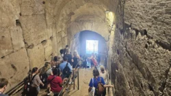 Colosseum colosseum (arena) (116)