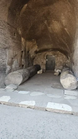 Colosseum colosseum (arena) (141)