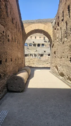 Colosseum colosseum (arena) (144)