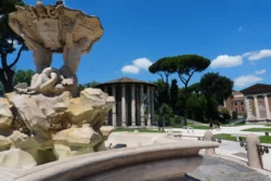 Forum Boarium forum boarium dslr (3)