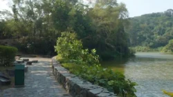 little guilin (9)