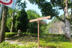 little guilin dslr (1)