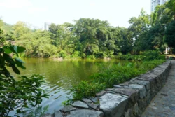 little guilin dslr (13)
