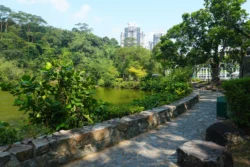 little guilin dslr (27)