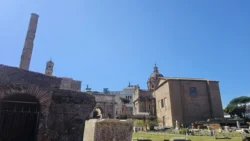 Palatine Hill palatine hill & roman forum (108)
