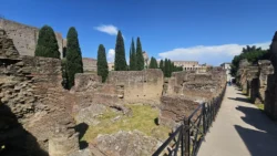 Palatine Hill palatine hill & roman forum (13)