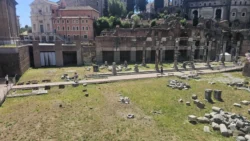 Palatine Hill palatine hill & roman forum (141)
