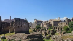 Palatine Hill palatine hill & roman forum (25)