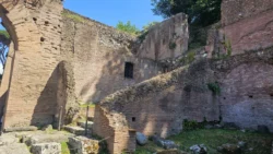 Palatine Hill palatine hill & roman forum (30)