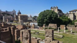Palatine Hill palatine hill & roman forum (63)