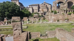 Palatine Hill palatine hill & roman forum (67)