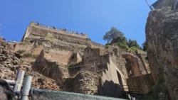 Palatine Hill palatine hill & roman forum (73)