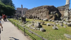 Palatine Hill palatine hill & roman forum (94)