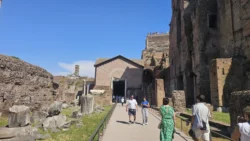 Palatine Hill palatine hill & roman forum (96)
