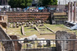 Palatine Hill palatine hill & roman forum dslr (110)
