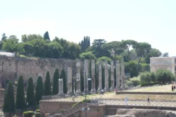 Palatine Hill palatine hill & roman forum dslr (13)
