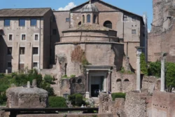 Palatine Hill palatine hill & roman forum dslr (34)