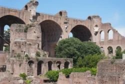 Palatine Hill palatine hill & roman forum dslr (35)
