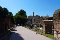 Palatine Hill palatine hill & roman forum dslr (63)