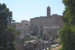 Palatine Hill palatine hill & roman forum dslr (99)