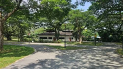 pasir ris beach park (12)