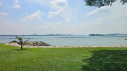 pasir ris beach park (13)