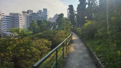 pearls park reservoir (20)