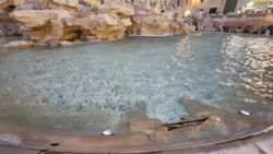 trevi fountain (39)